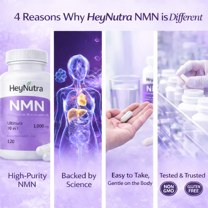 HeyNutra NMN Complex