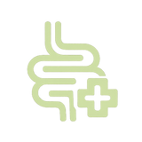 Gut Health & Digestion Support
